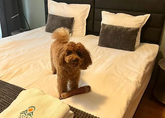 Луксозна вила Local *